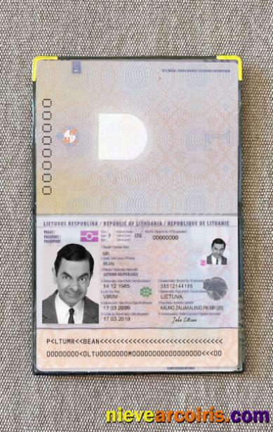 Lithuania passport photolook
